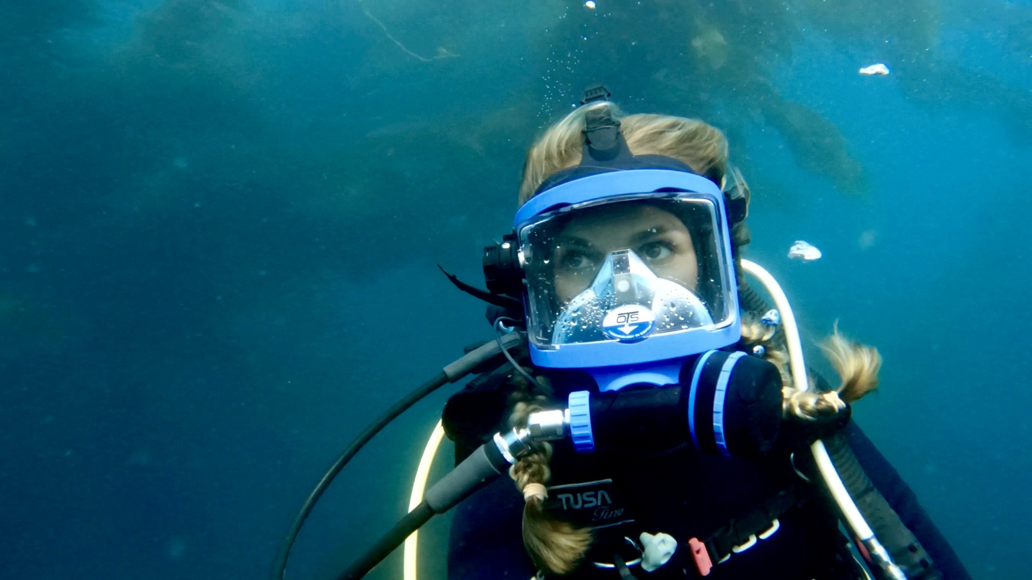 Full Face Mask Diver